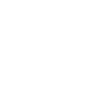 Geeky Vision Logo